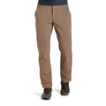 Stone Brown Chino Pant J914944