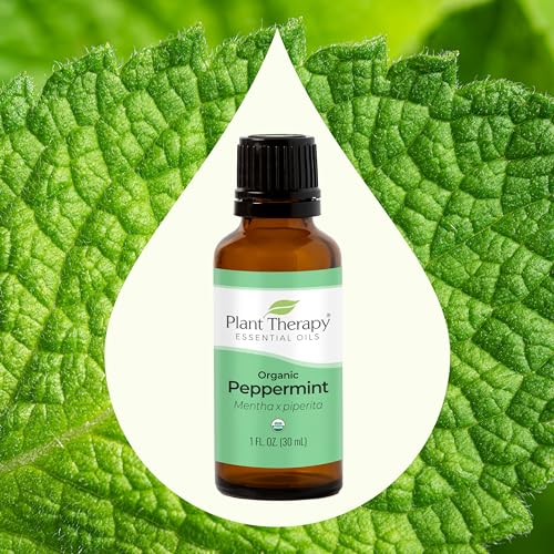 Organic Frankincense Serrata Essential Oil 30 mL (1 oz) V31192