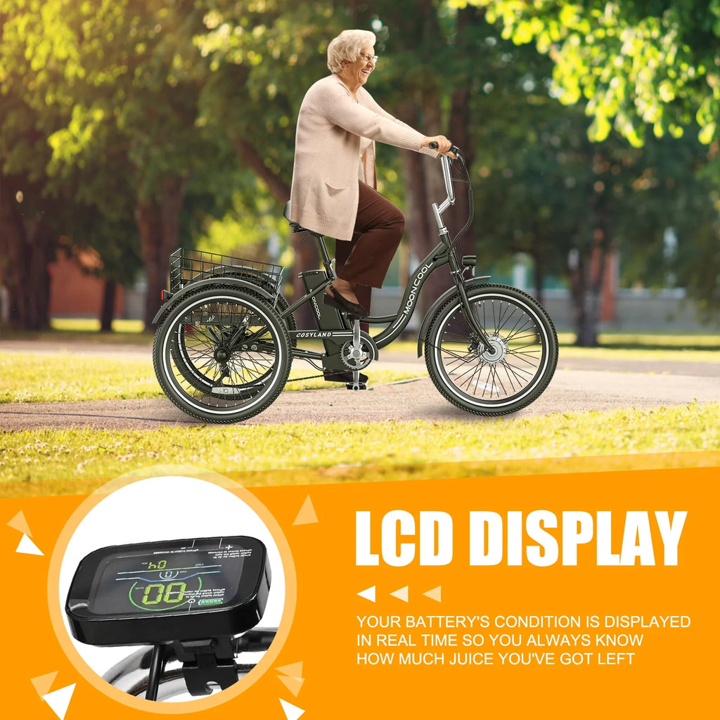 Adult Electric Tricycle, 3 Wheel Electric Bike, 7-Speed, Removable Lithium Battery H532