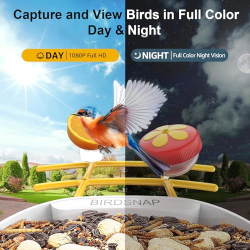 Smart Bird Feeder with Camera, 64G SD Card, Solar Panel G1530