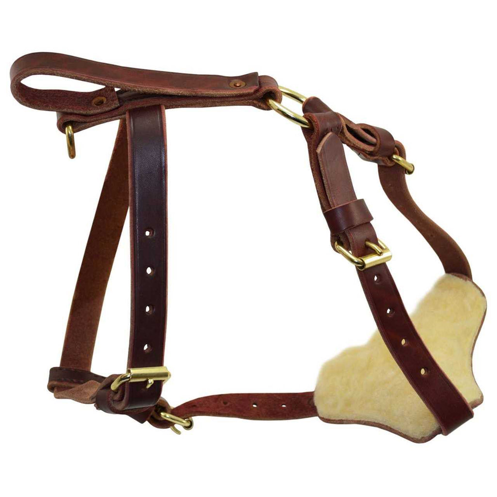 Leather Tracking Harness C846749