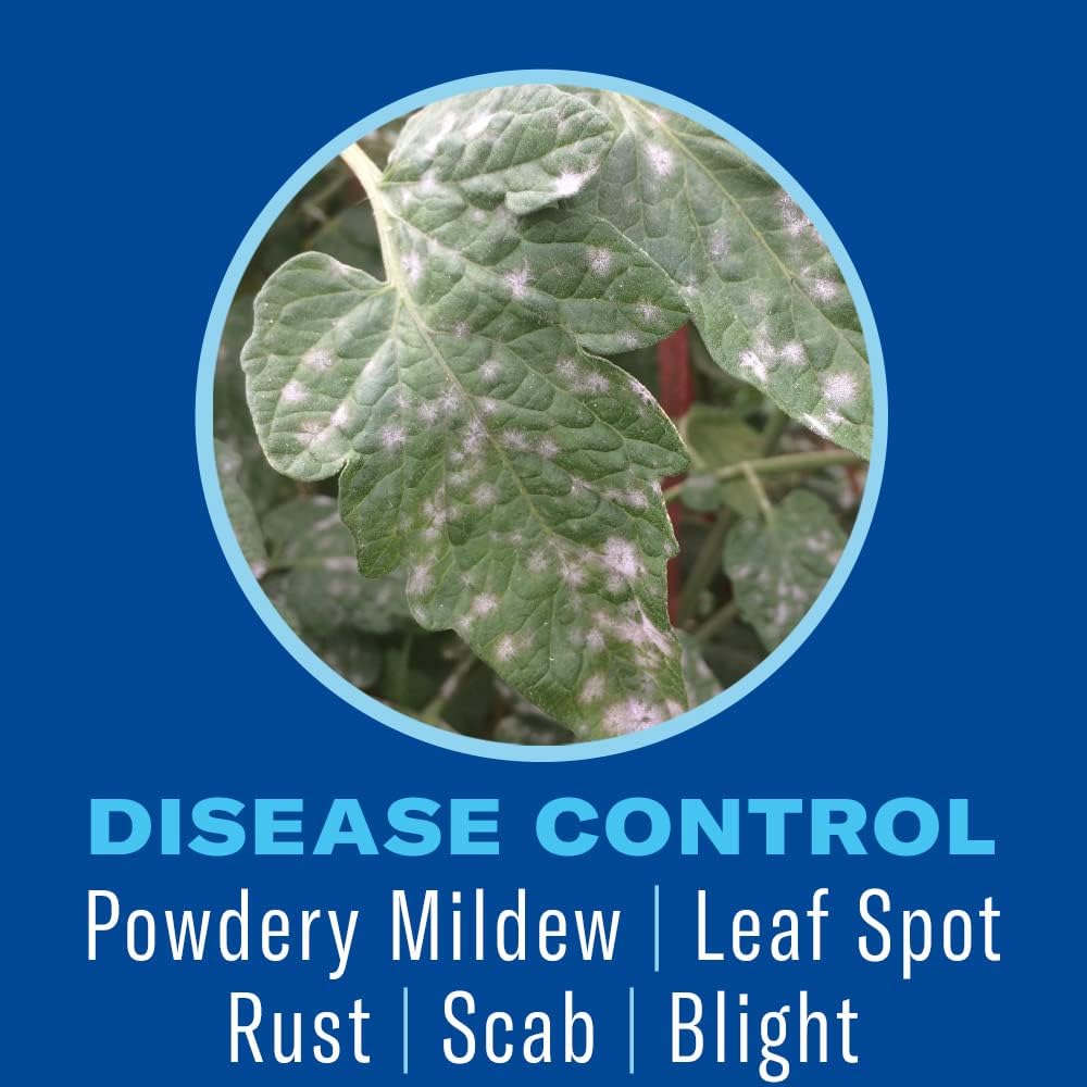 24 oz Houseplant Insect & Mite Control Q400