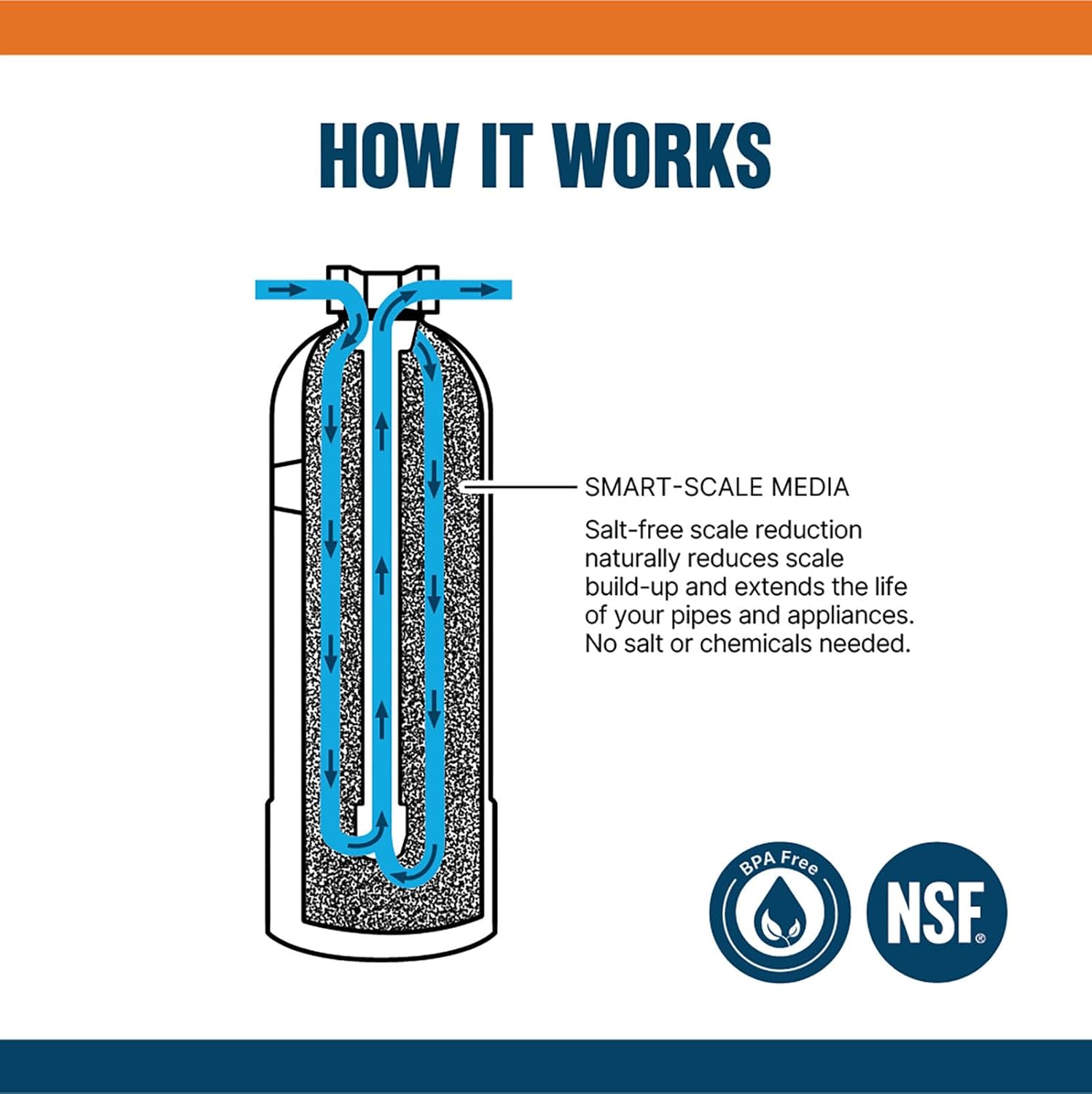 Whole House Salt Free Descaler System P8555
