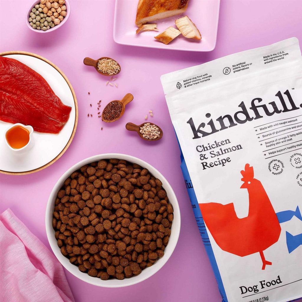 Chicken and Salmon Recipe Dry Dog Food S49194
