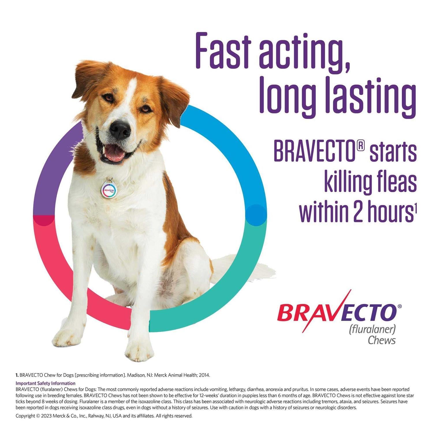 Bravecto Chews for Dogs 44-88 lbs Z4309