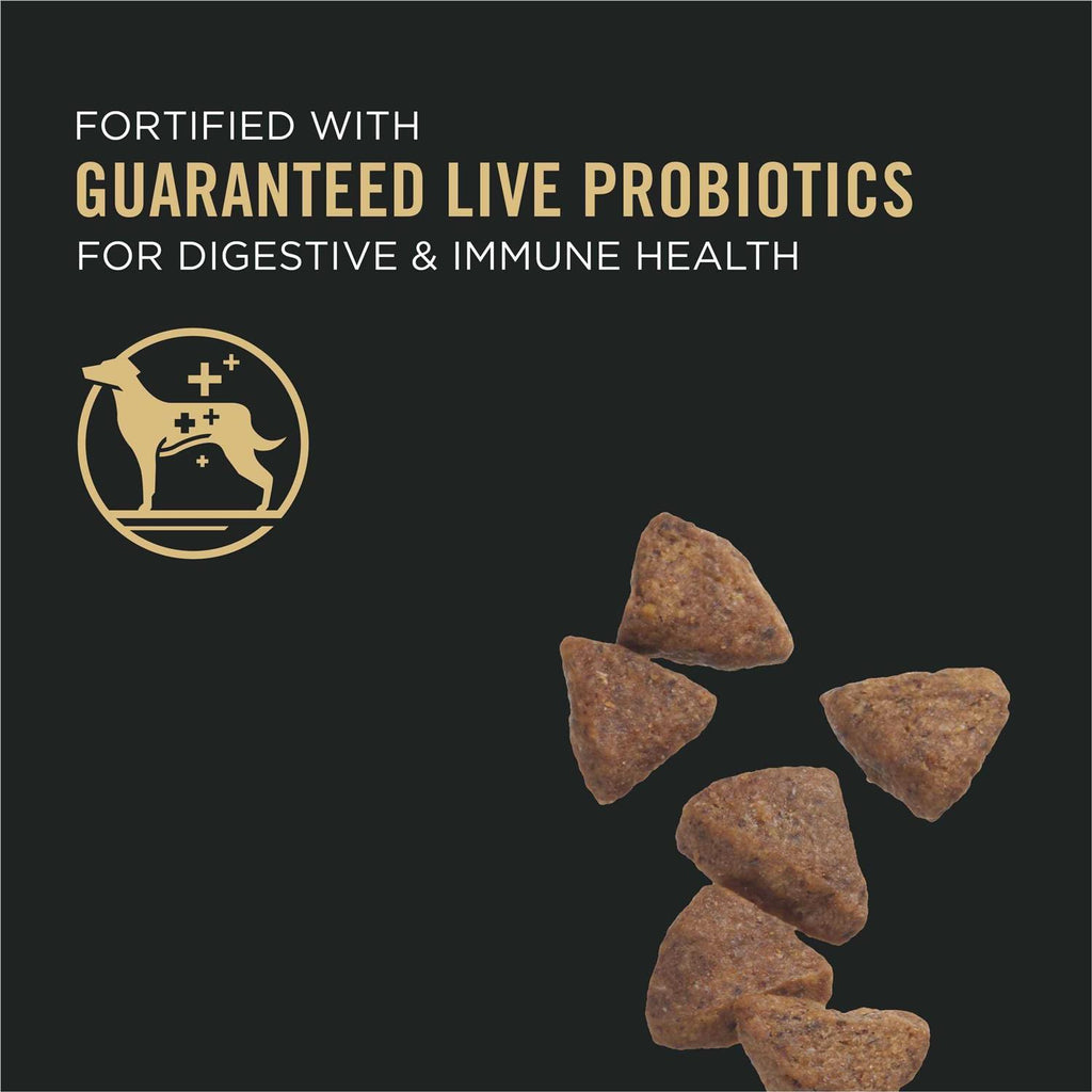 Sensitive Skin & Stomach Small Breed Dog Food L947619