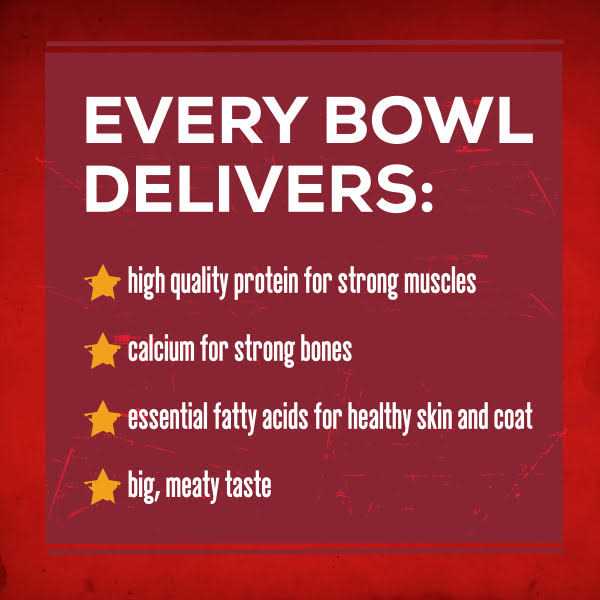 Savory Beef Dry Dog Food B43328