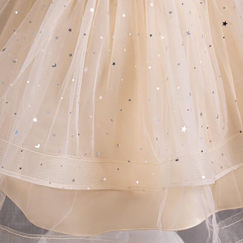 Flower Girl Dress Princess Birthday Party Wedding Gown Z3719