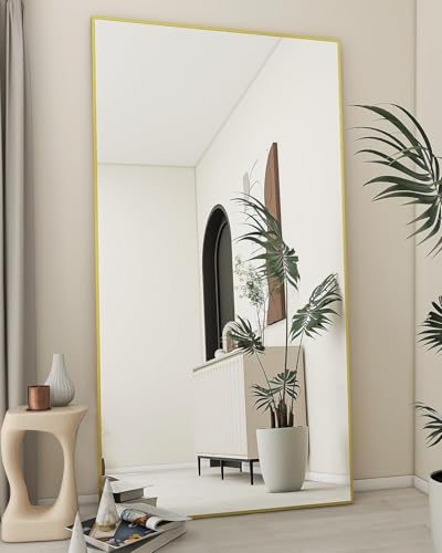 Black 65"x24" Full Length Mirror with Aluminum Alloy Frame X62059