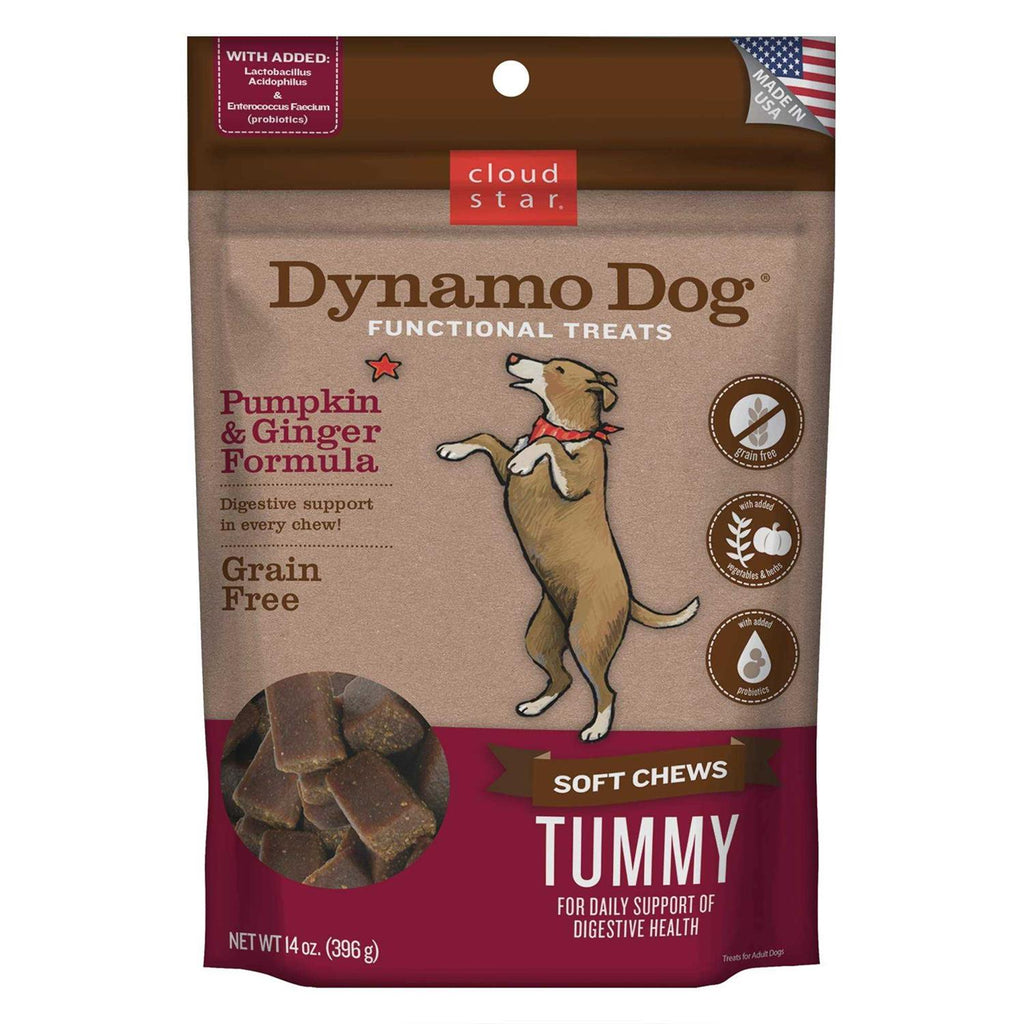 Dynamo Dog Pumpkin & Ginger Tummy Treats D89192