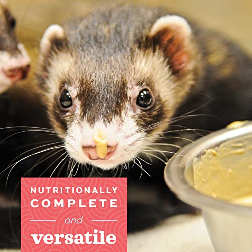 70 Gram Bag Carnivore Animal Food Z19327