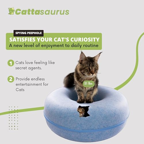 Large Dark Gray Cat Cave N5022
