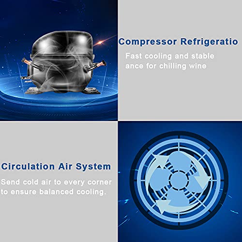 12 Bottle Compressor Wine Cooler with Double-Layer Glass Door Z858453