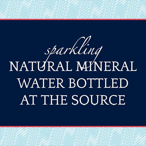 Sparkling Natural Mineral Water, 16.9 Fl Oz (Pack of 12) Y163