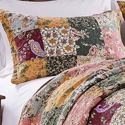 Natural 3-Piece Full/Queen Cotton Quilt Set Y97519