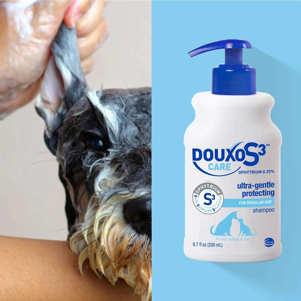 Douxo S3 Care Shampoo 200ml K1433