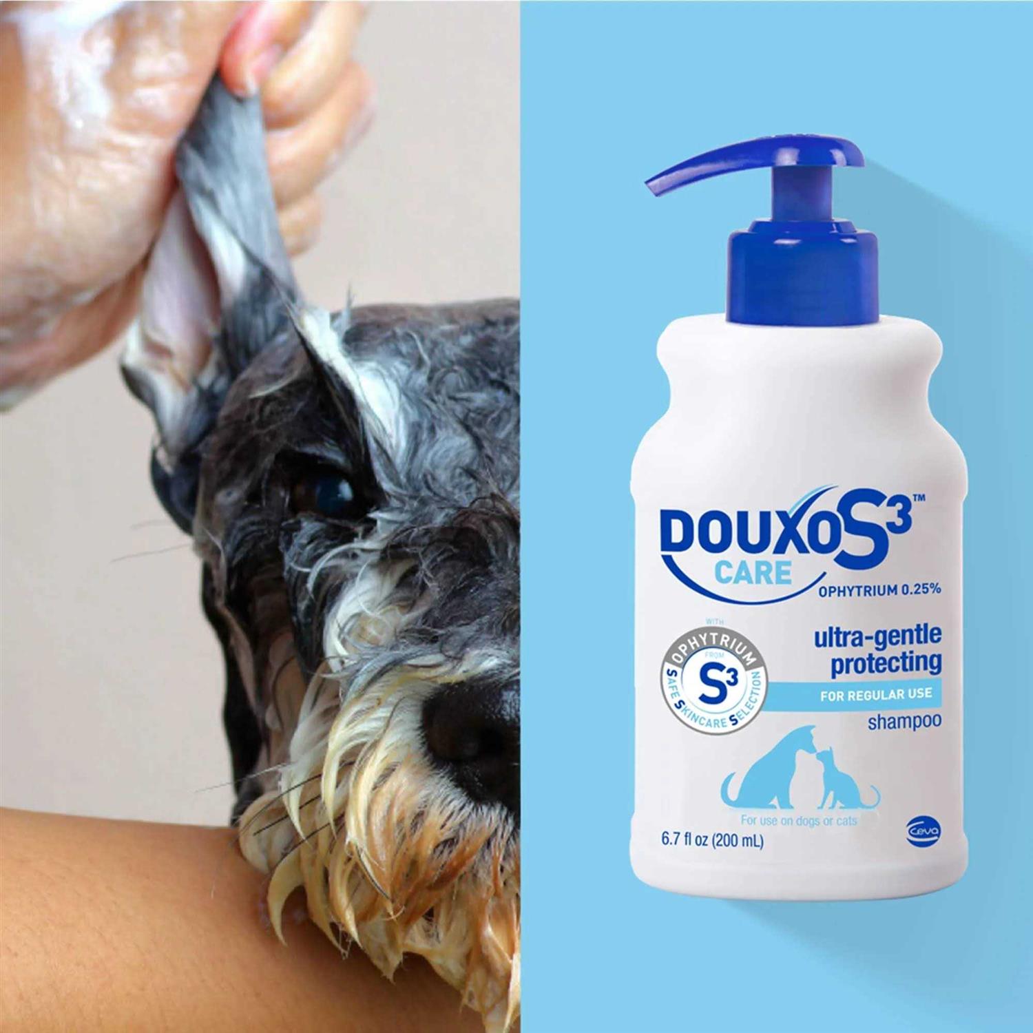 Douxo S3 Care Shampoo 200ml K1433