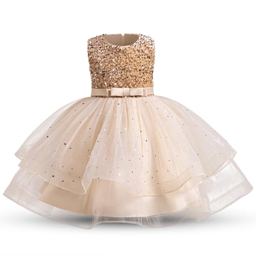 Flower Girl Dress Princess Birthday Party Wedding Gown Z3719