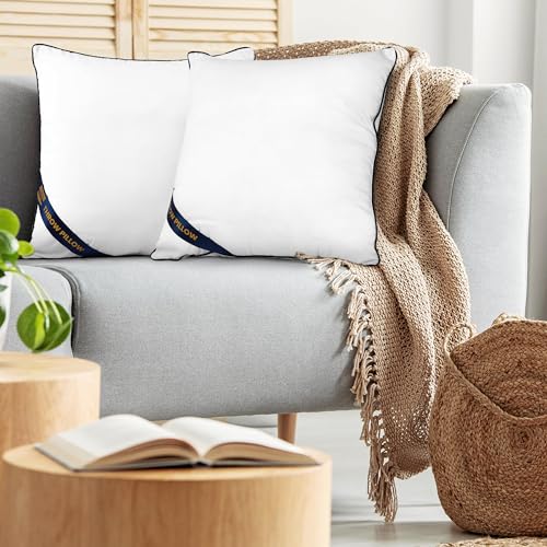 Pack of 2 White 18 x 18 Inches Throw Pillow Inserts I19879