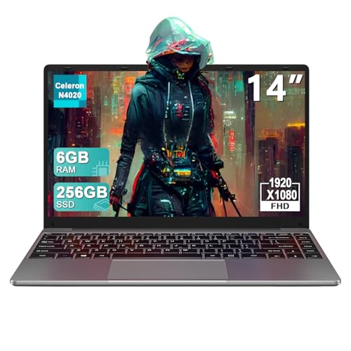 Gray 14 Inch Laptop 256GB SSD F837