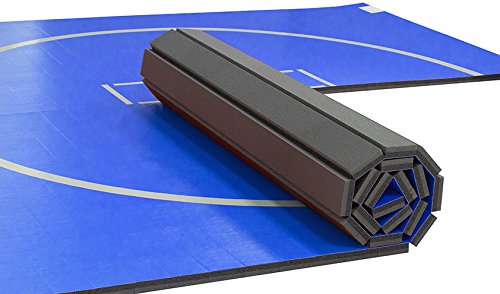10'x10' Wrestling Mat F326