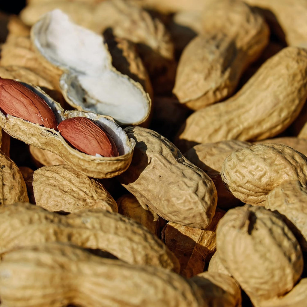 Bulk Raw Peanuts in Shell, Virginia Grown (25 lb box) E556
