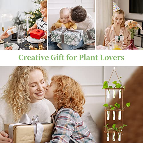 Hanging Glass Planter with Wooden Stand H815