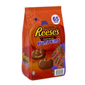 Milk Chocolate Peanut Butter Pumpkins Candy (39.8 Ounce, 65 Count) G529271
