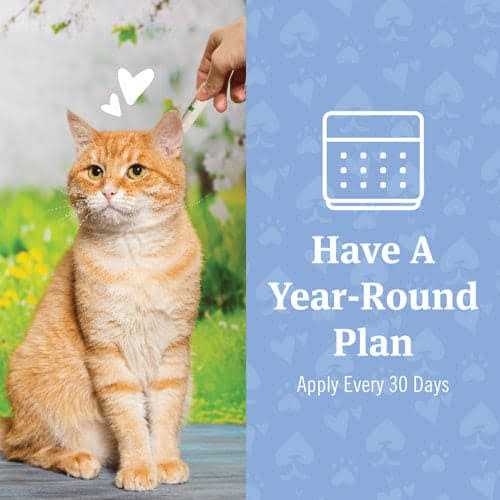 Flea and Tick Treatment for Cats J7846