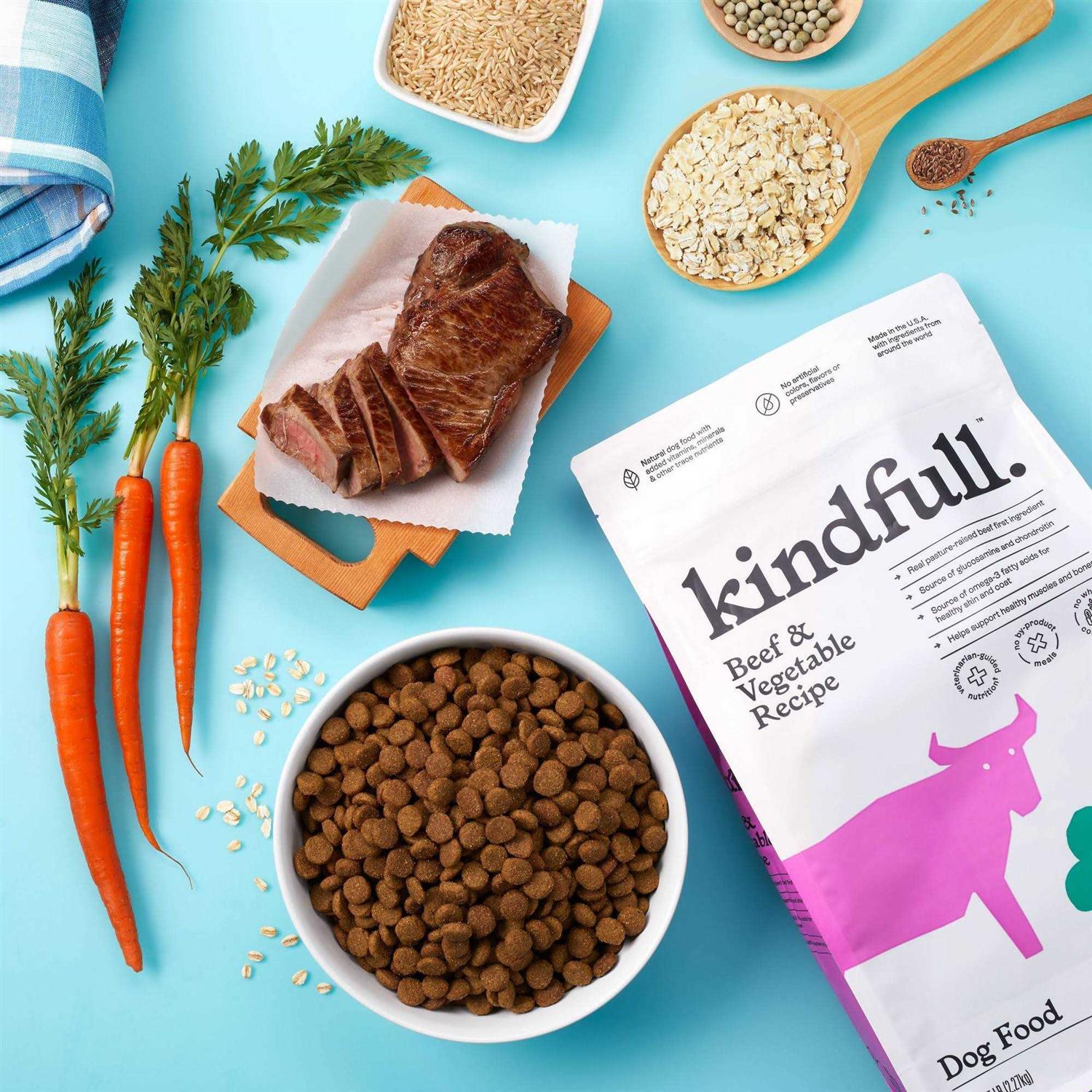 Beef and Vegetable Recipe Dry Dog Food O90541
