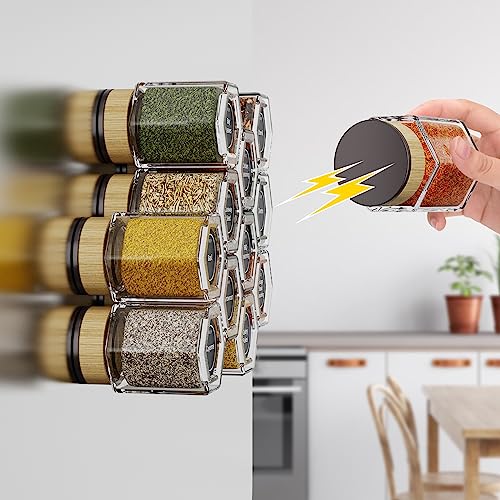 Set of 8 Magnetic Spice Tins with 2 Metal Wall-Plates Y255879