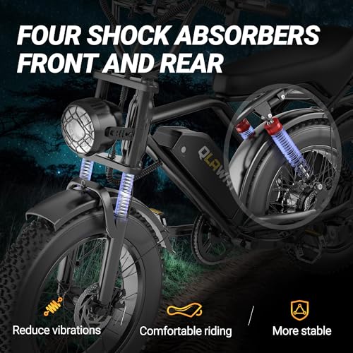 Electric Dirt Bike 750w 20" Full Suspension 48V 15.6AH Removable Battery 2 Seater Z21724