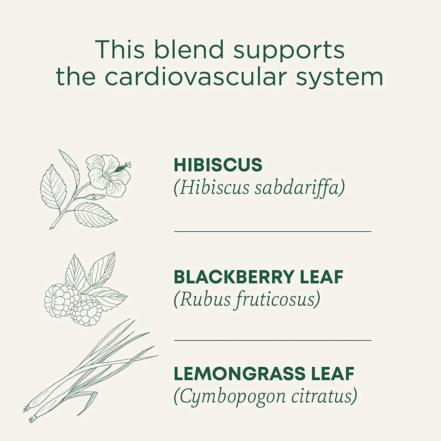 Organic Hibiscus Herbal Tea 16 Tea Bags Pack of 3 O93494