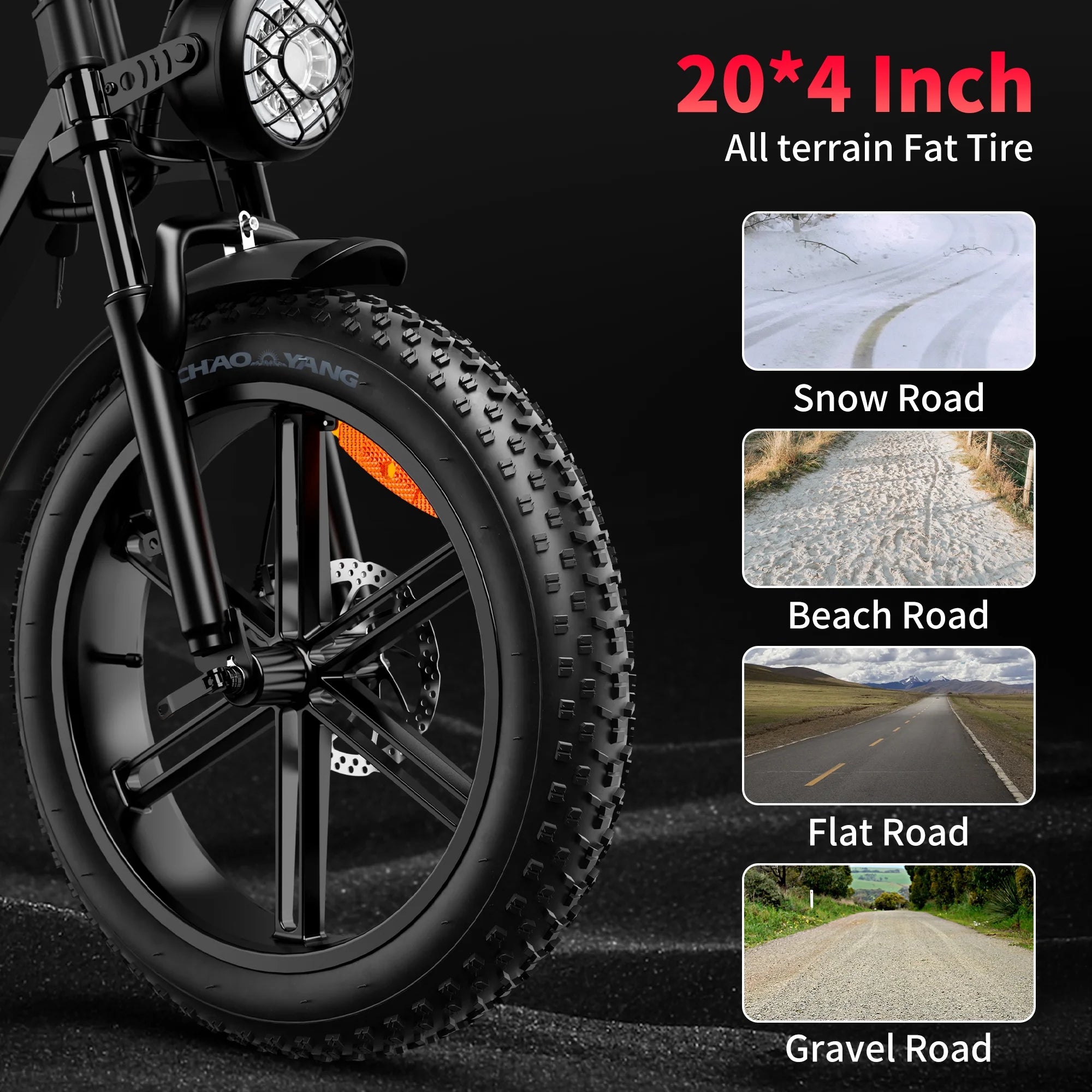Electric Bike with 48V20Ah Removable Battery, 20" Fat Tire, Dual Shock Absorber L1208