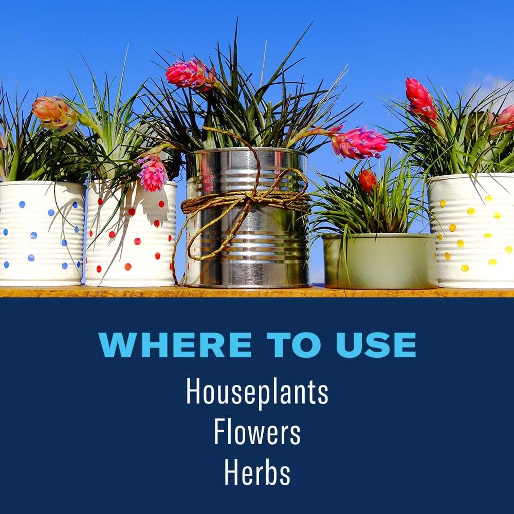 24 oz Houseplant Insect & Mite Control Q400