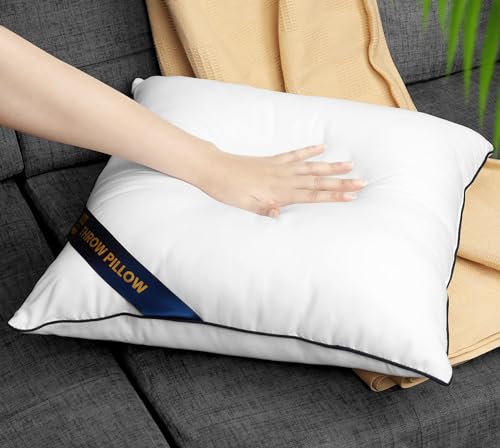 Pack of 2 White 18 x 18 Inches Throw Pillow Inserts I19879
