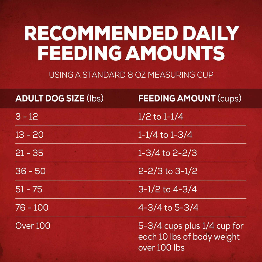 Savory Beef Dry Dog Food B43328