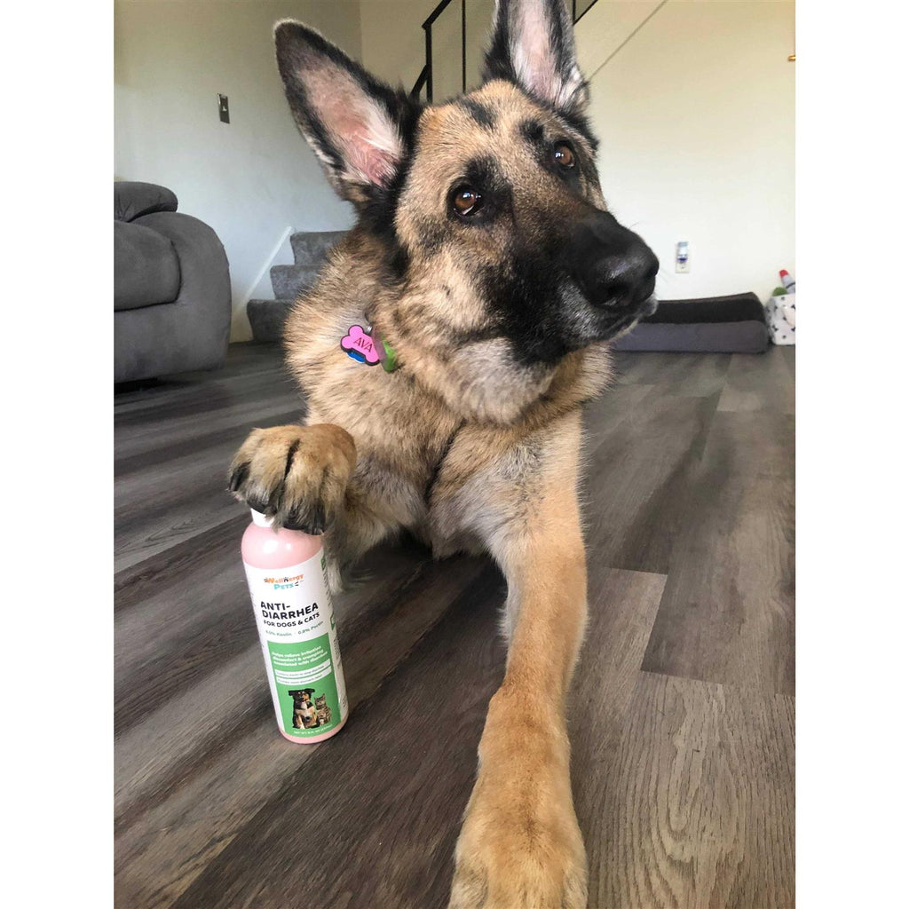 Anti-Diarrhea for Dogs & Cats W147