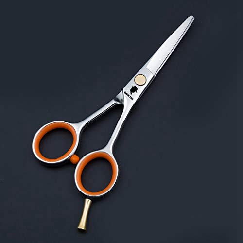 5" Professional Hair Cutting Scissors Y12810
