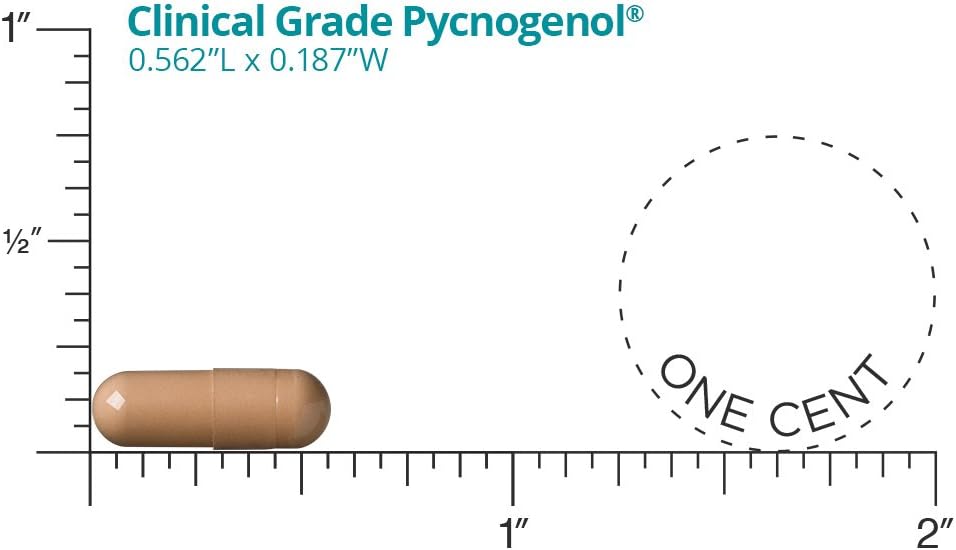 60 Capsules Pycnogenol J6825