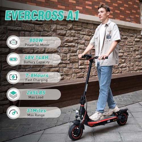 800W Electric Scooter with 10'' Honeycomb Solid Tires L6667