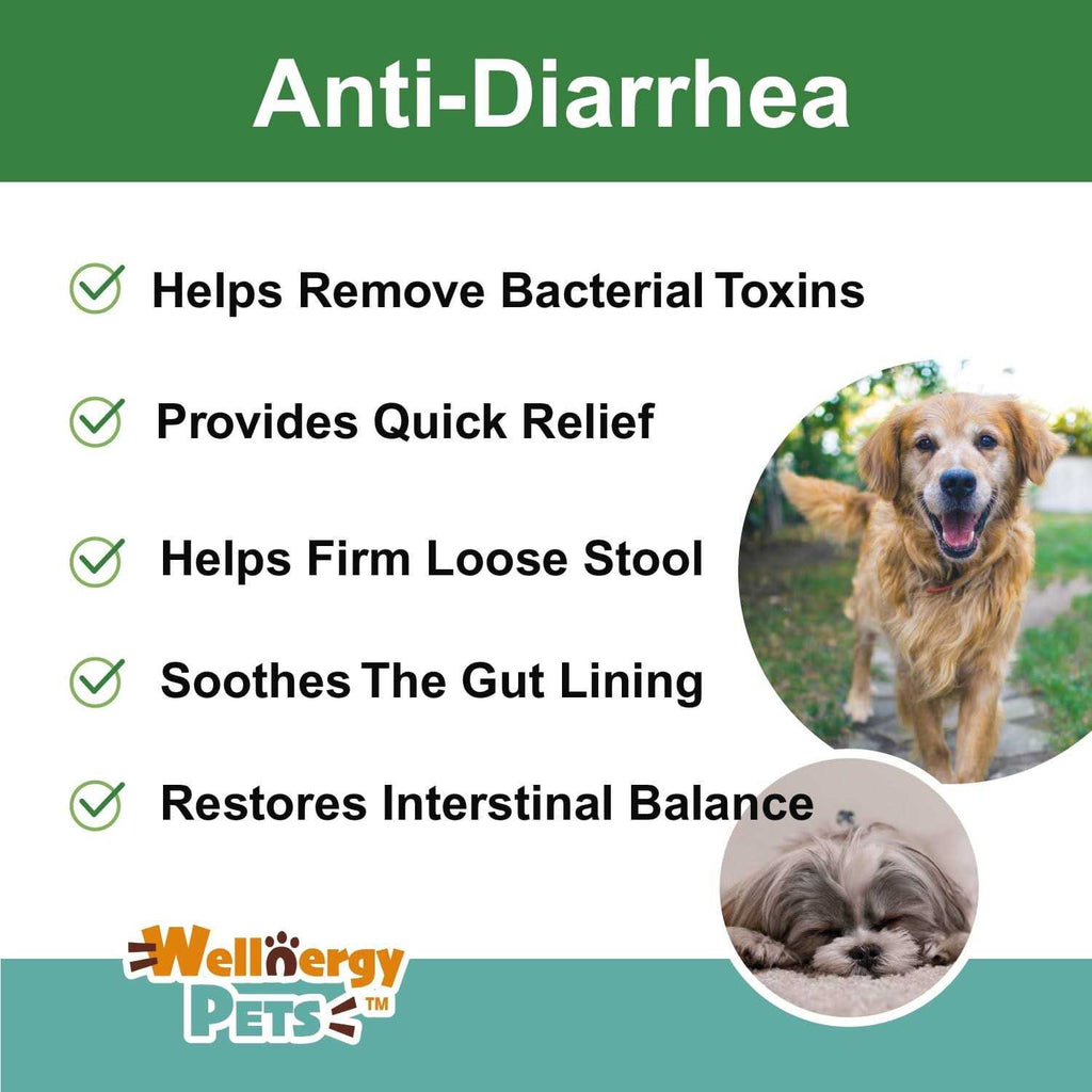 Anti-Diarrhea for Dogs & Cats W147