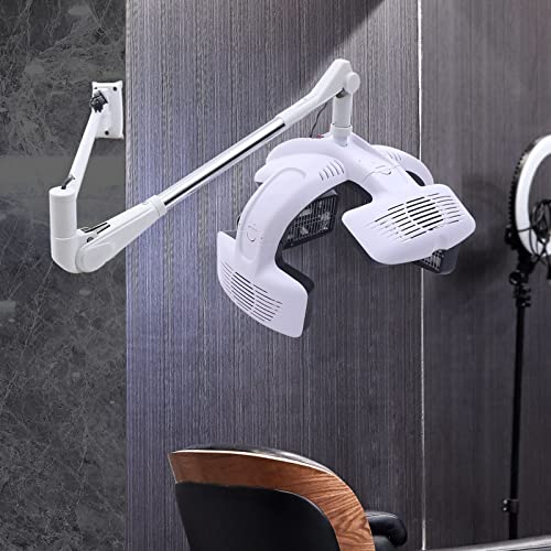 Wall Mounted Hair Dryer with Timer 110V 1250W V5517