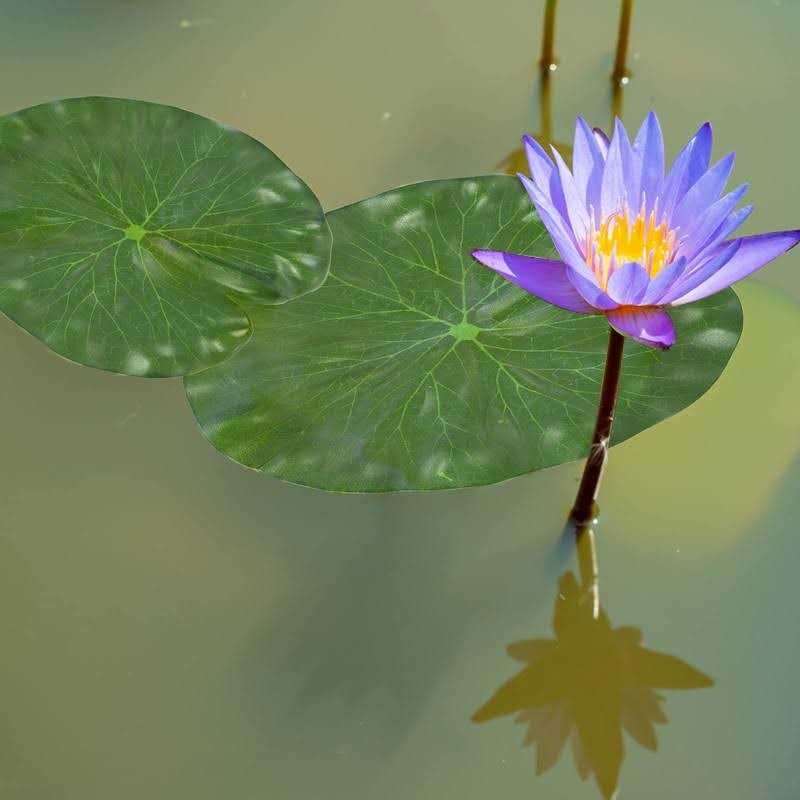 Realistic Artificial Lotus Leaves Lily Pads Floating Foam Water Lily Pads S64958