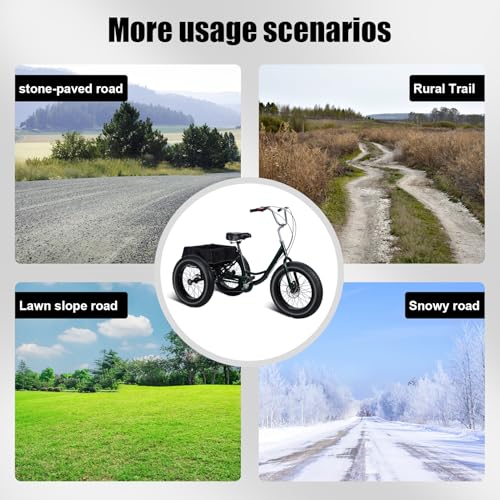20 Inch 3 Wheeled Fat Tire Drift Trike with Double Disc Brake J89079
