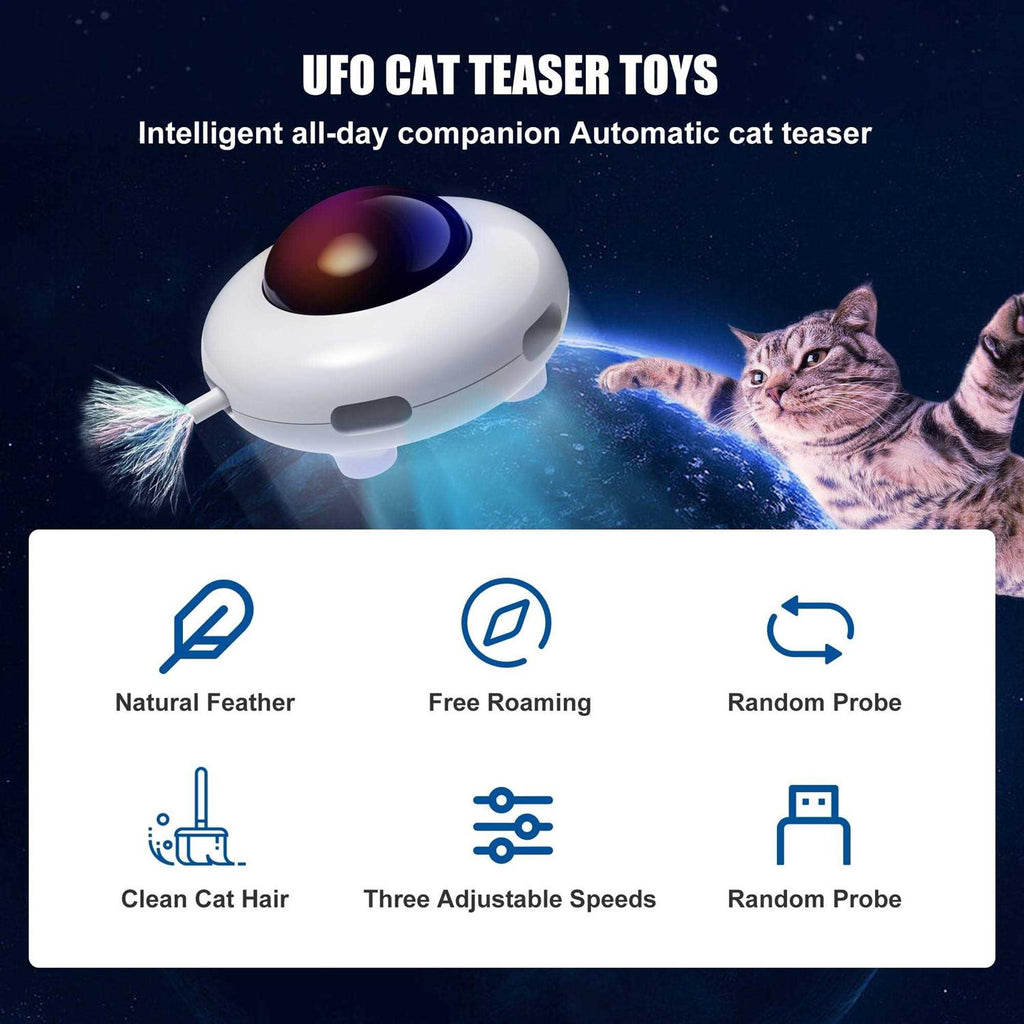Interactive Cat Toy C4836