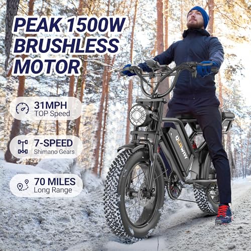 Electric Dirt Bike 750w 20" Full Suspension 48V 15.6AH Removable Battery 2 Seater Z21724