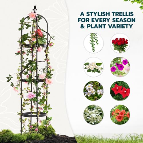 6ft Black Metal Obelisk Trellis for Climbing Plants Z31614