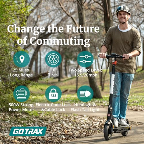 Electric Scooter with 500-650W Motor, 10"/11" Tires, 25-45 Miles Range, 20-38MPH Top Speed, Foldable D624